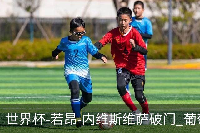 世界杯-若昂-内维斯维萨破门 葡萄牙半场暂1-1民主刚果