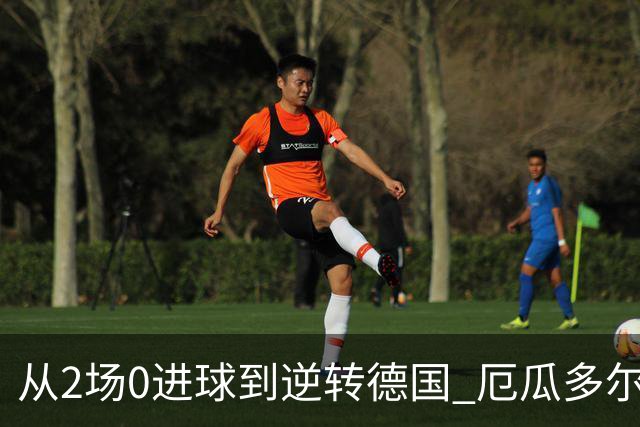 从2场0进球到逆转德国 厄瓜多尔晋级玩的就是心跳！