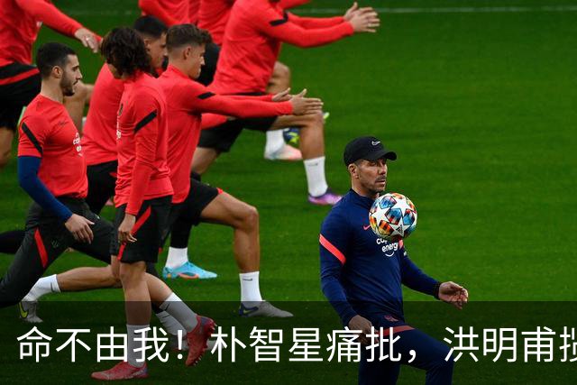 命不由我！朴智星痛批，洪明甫揽责，孙兴慜表态，这次比国足还惨